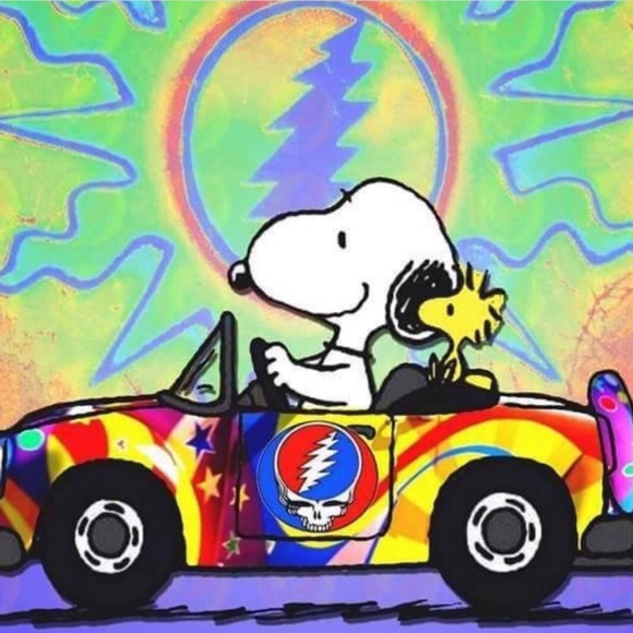 βοΈACTIVEWEAR π πββοΈ POSH PARTY π π©± π©³ 4/28/2025 12-2pm EST βοΈ - Picture 15 of 16